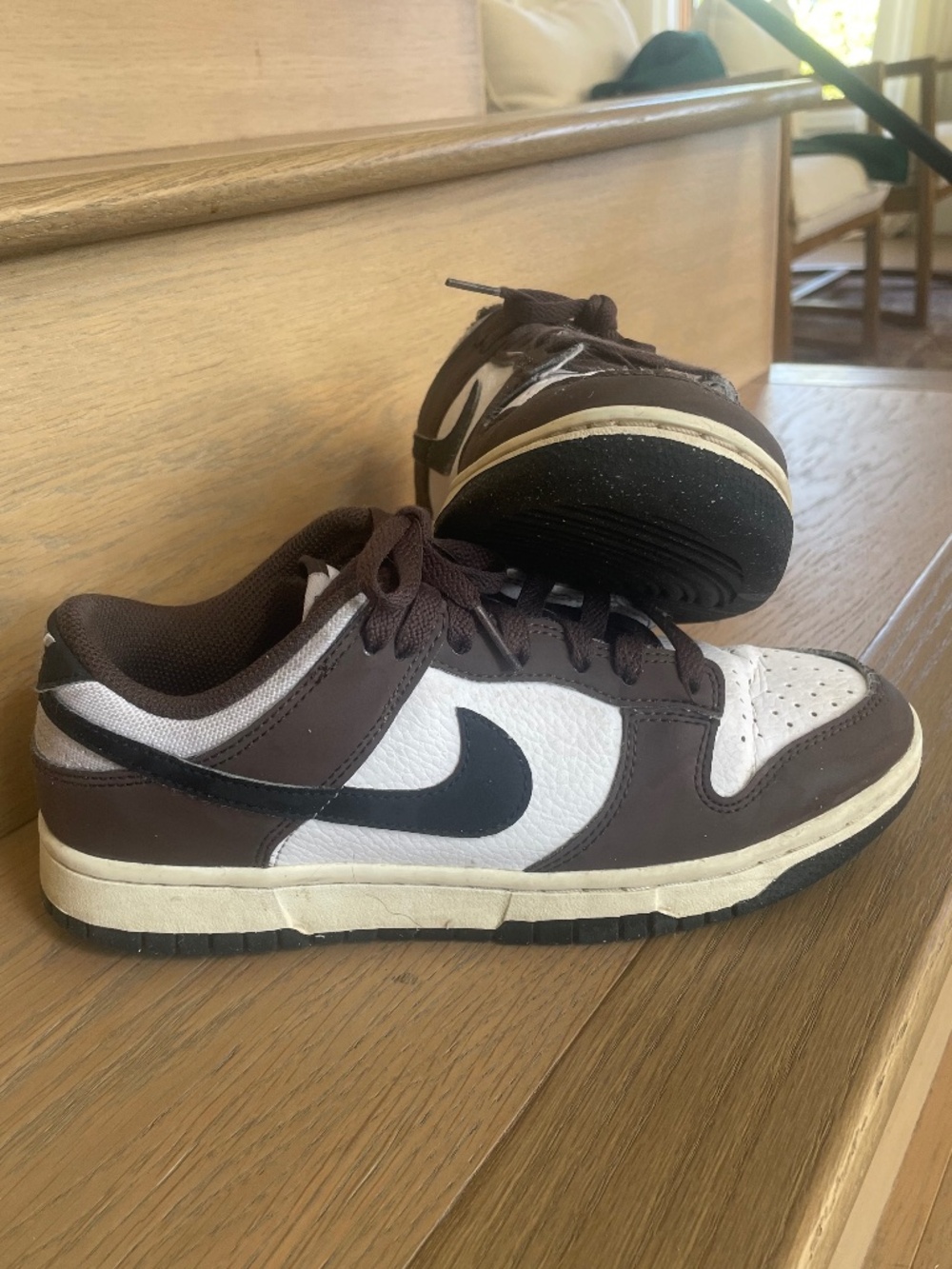 Nike Dunks Baroque Brown